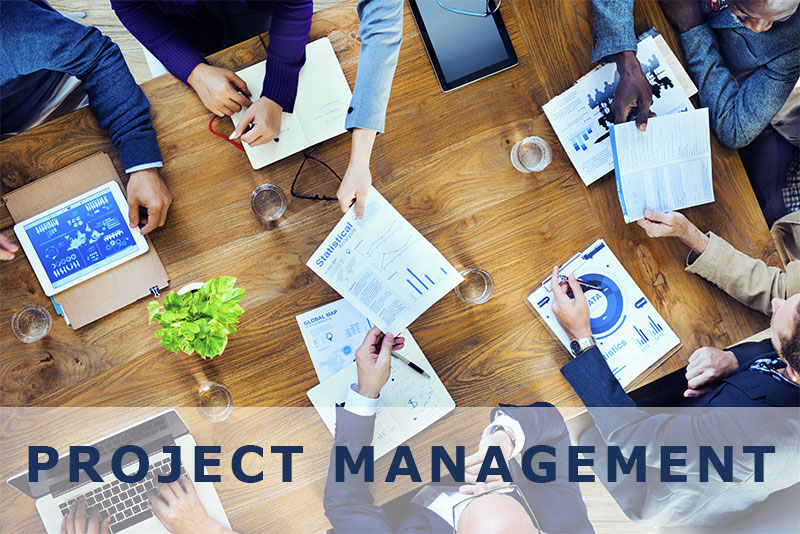 Project Management/Leadership